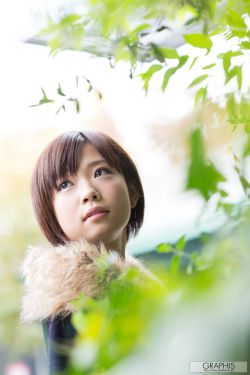 日本剧免费网站