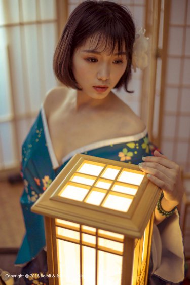 银翼的魔术师