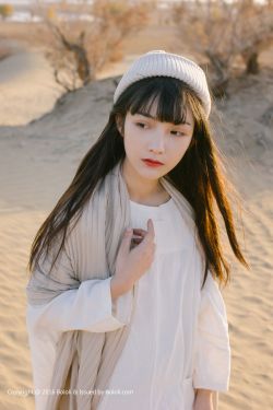 动画片宝莲灯
