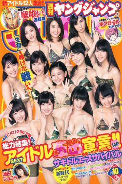 AV波多野结衣在线观看