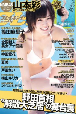 狼群视频高清免费