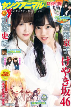 yell高清视频免费播放